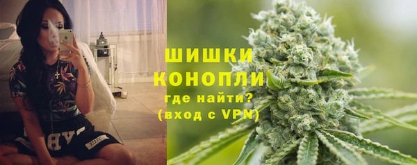 PSILOCYBIN Верхний Тагил